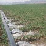 2018-11-21-152504-hydroflume-irrigation-3-high